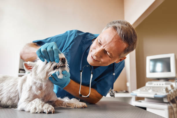 Best Emergency Treatment for Dental Infections or Abscesses in Azalea Park, FL